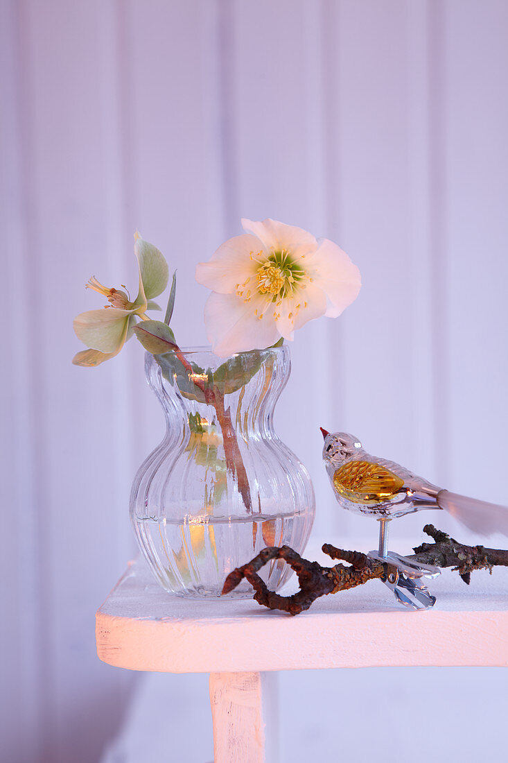 Christmas arrangement of hellebores in vase and glass bird on twig