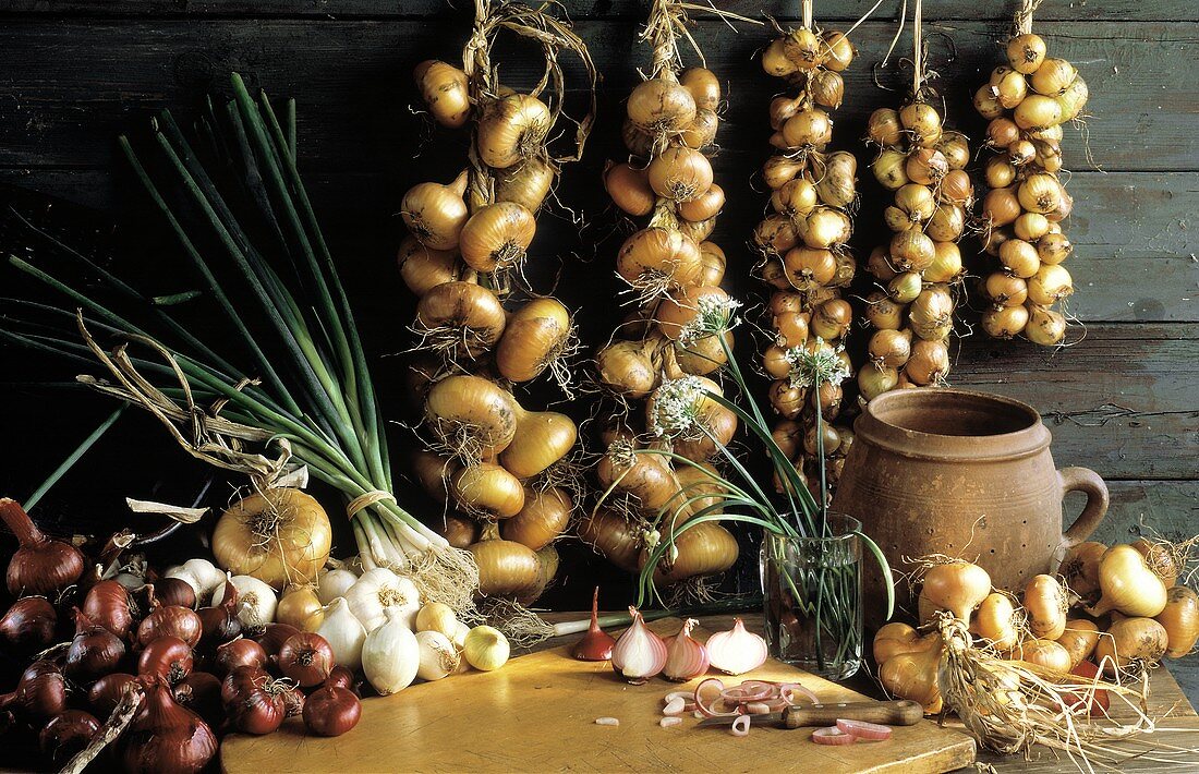 Several Onions Still Life