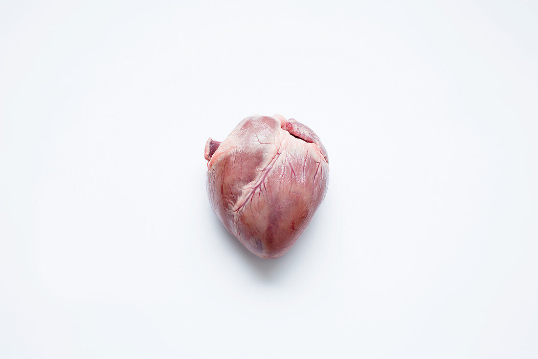 Pork heart