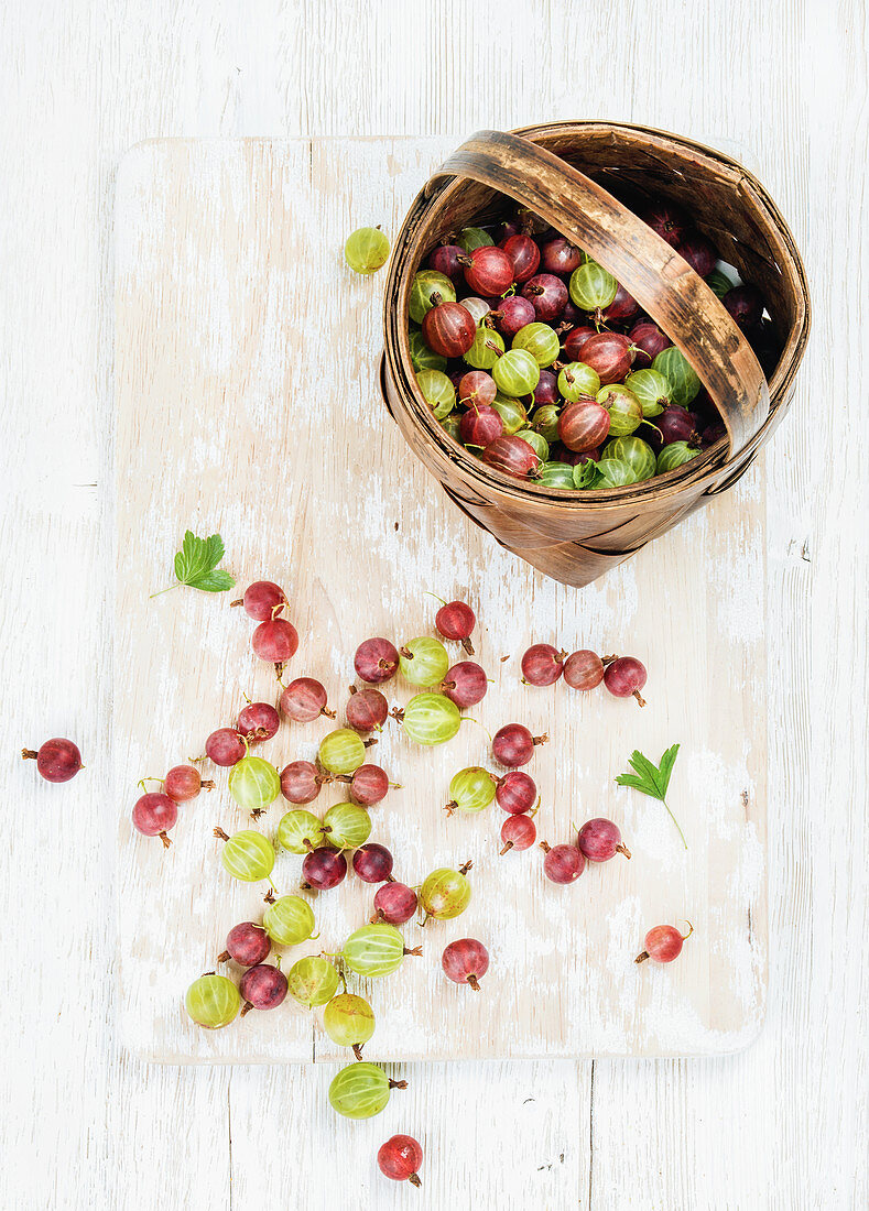 Ripe garden gooseberries in birchbark basket