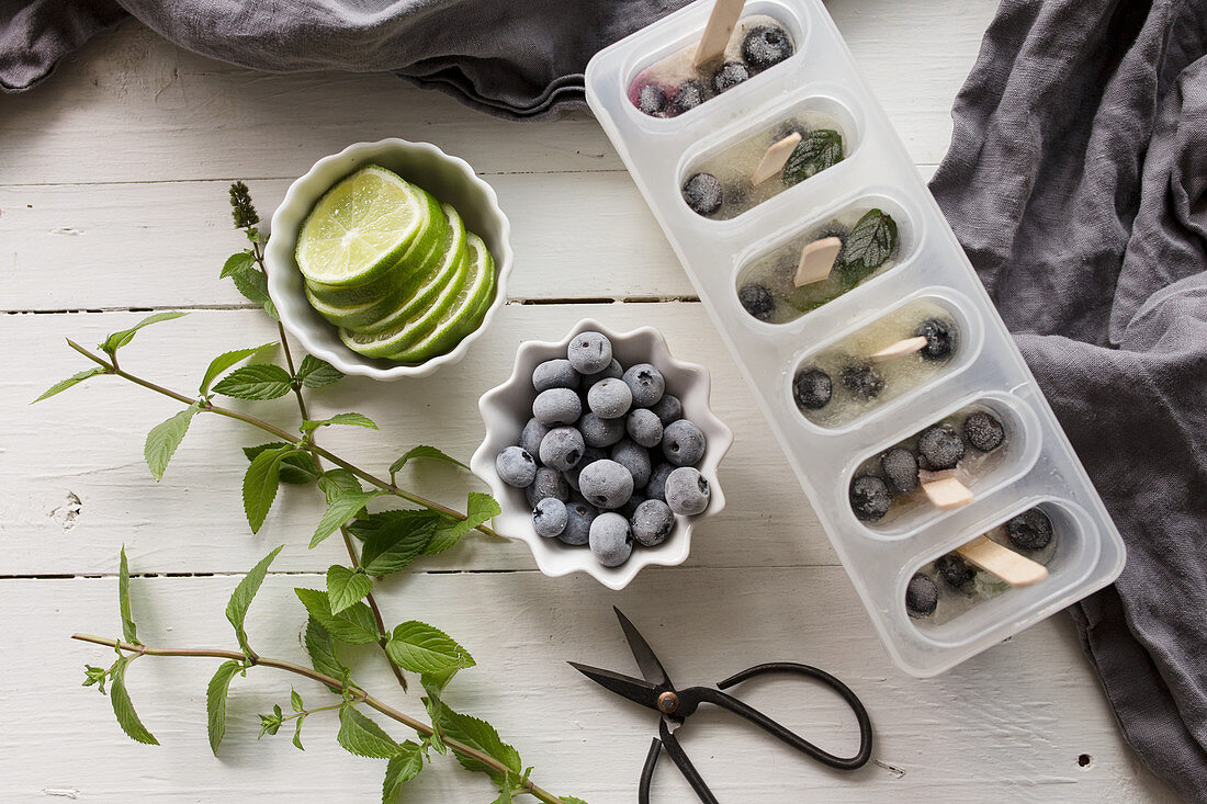 Blueberry mojito cocktail ice lollies