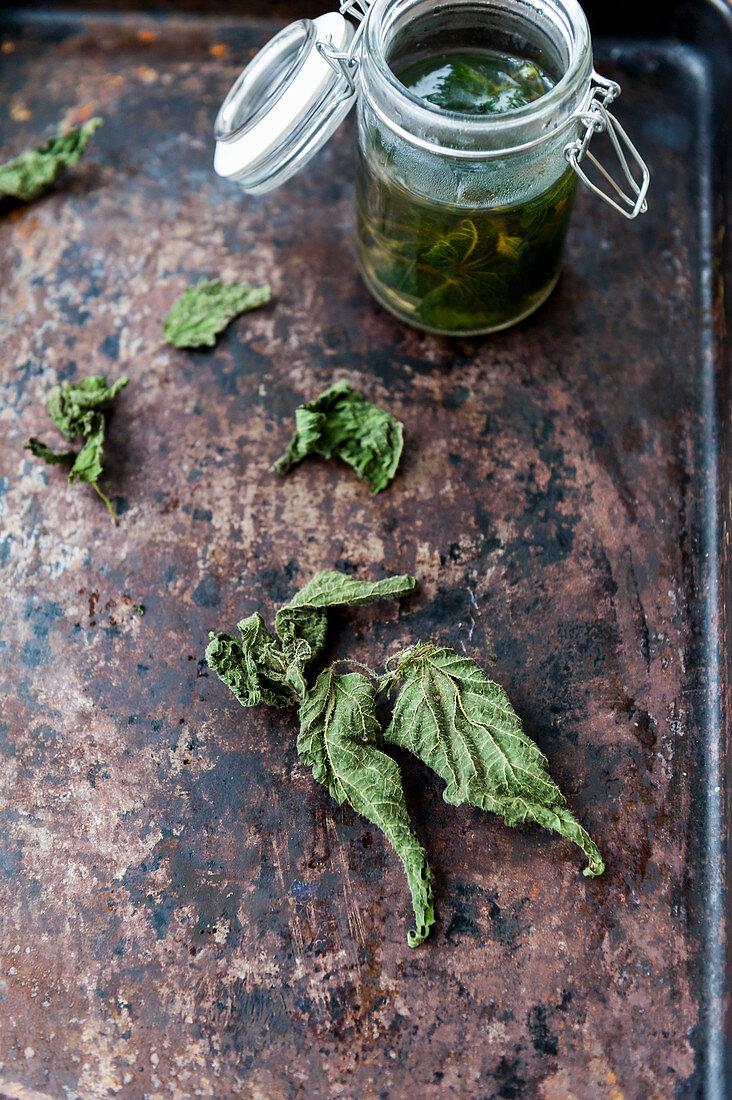 Stinging nettles in a glass