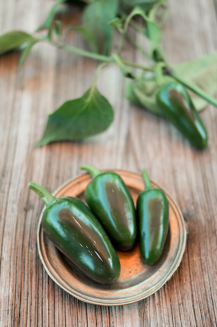 Frische Jalapenos