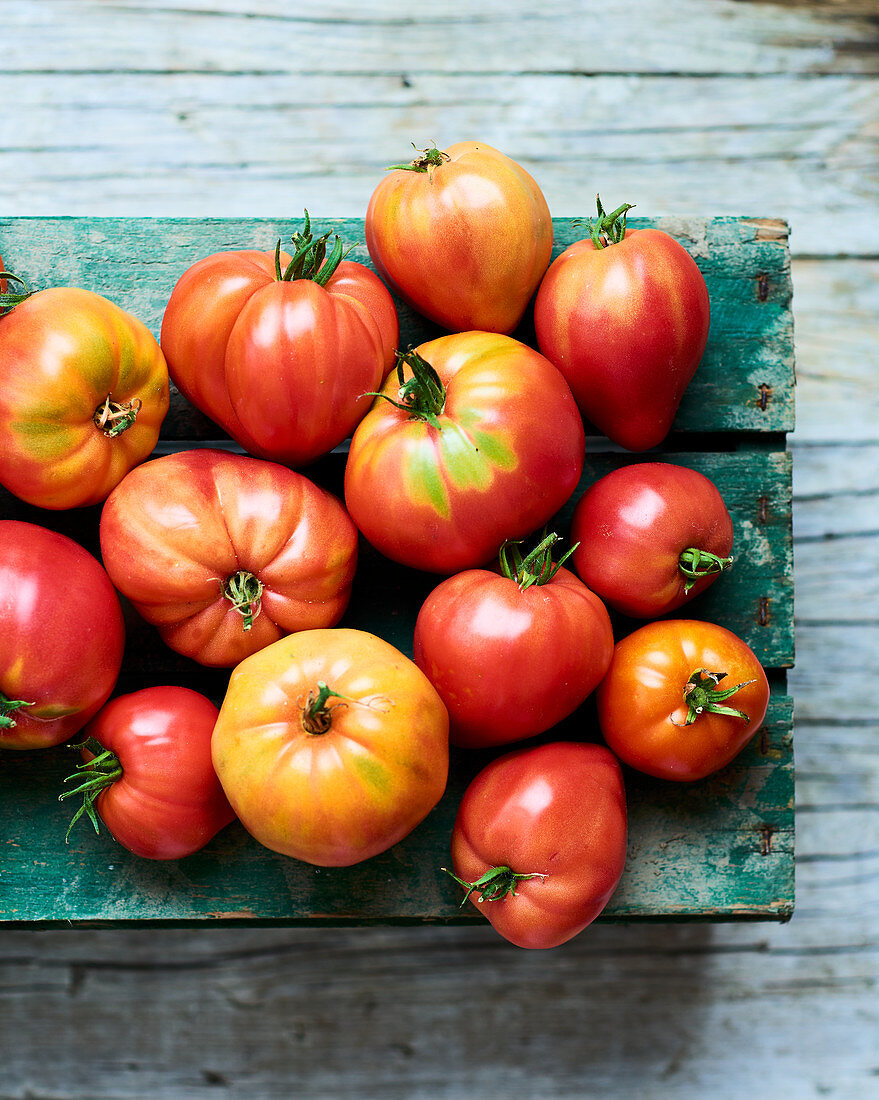 Tomato harvest on wooden box