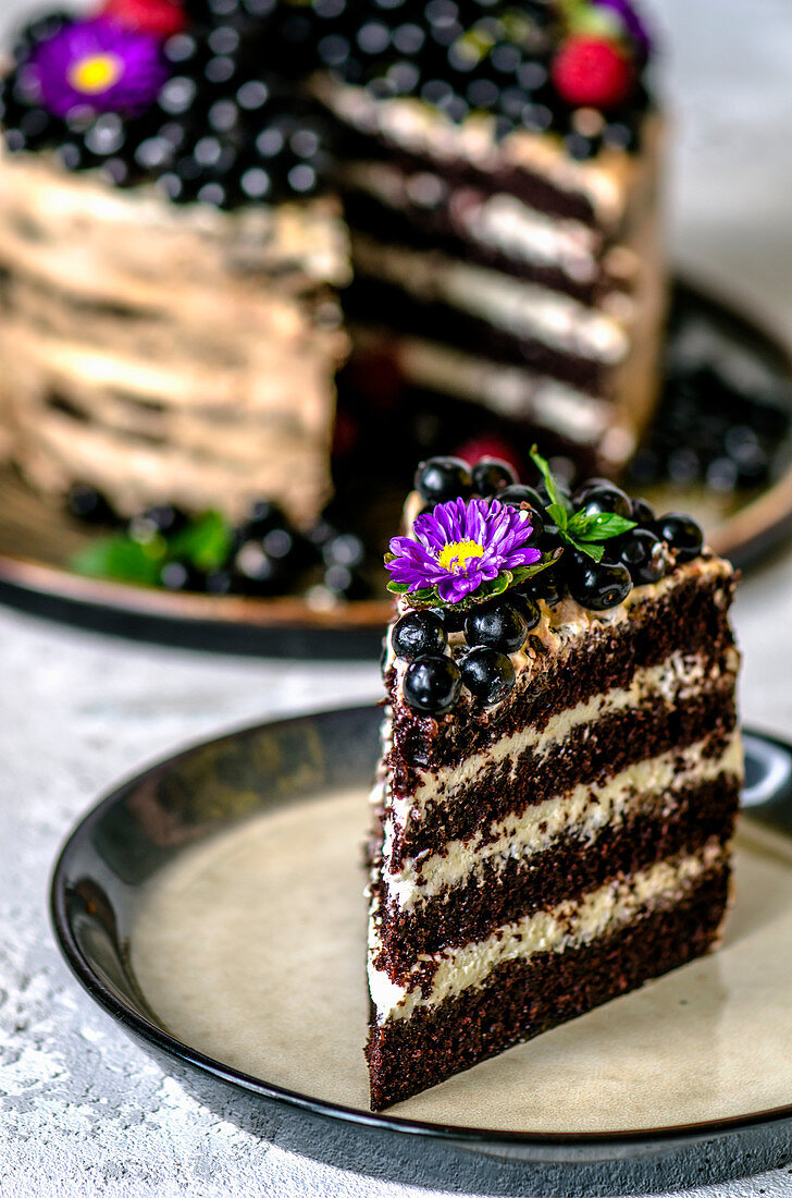 A piece of cake with bird cherry