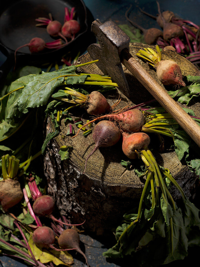 Frische rote und gelbe Bete