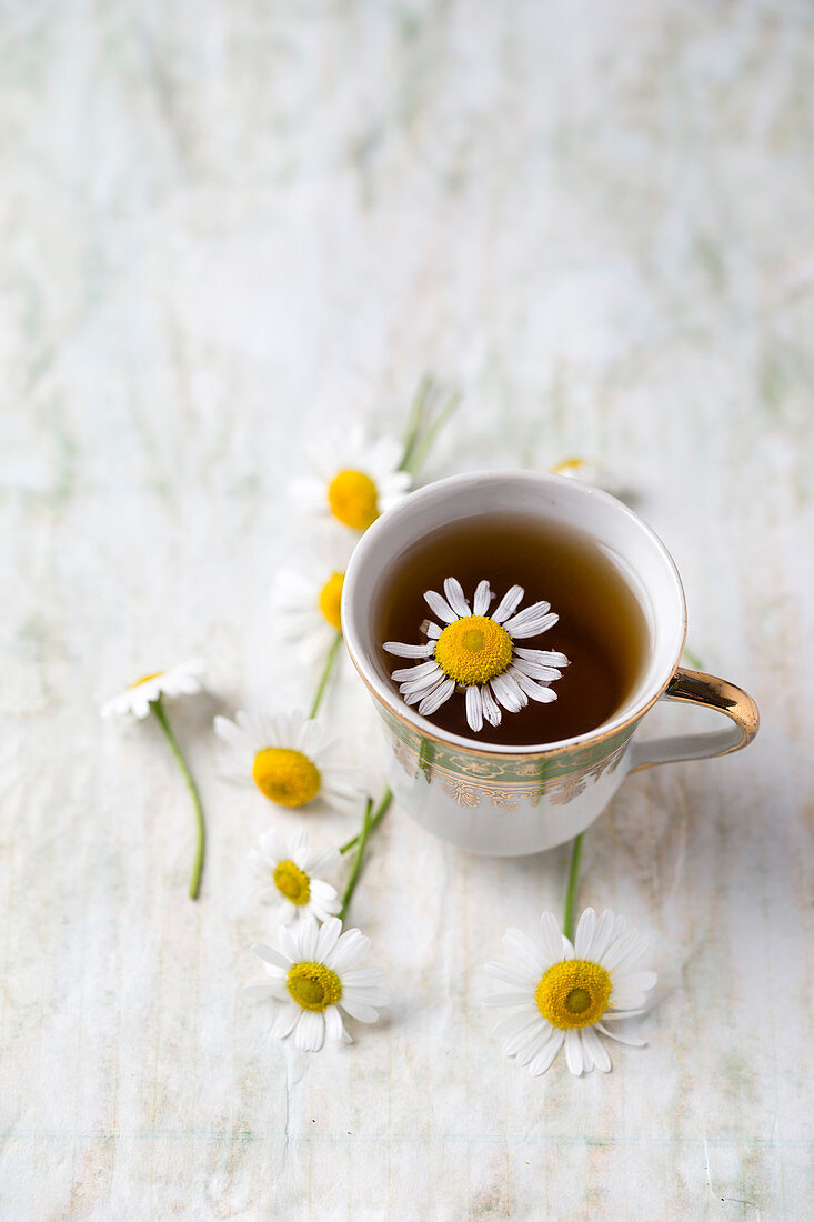 Chamomile tea with chamomile flowers in a cup