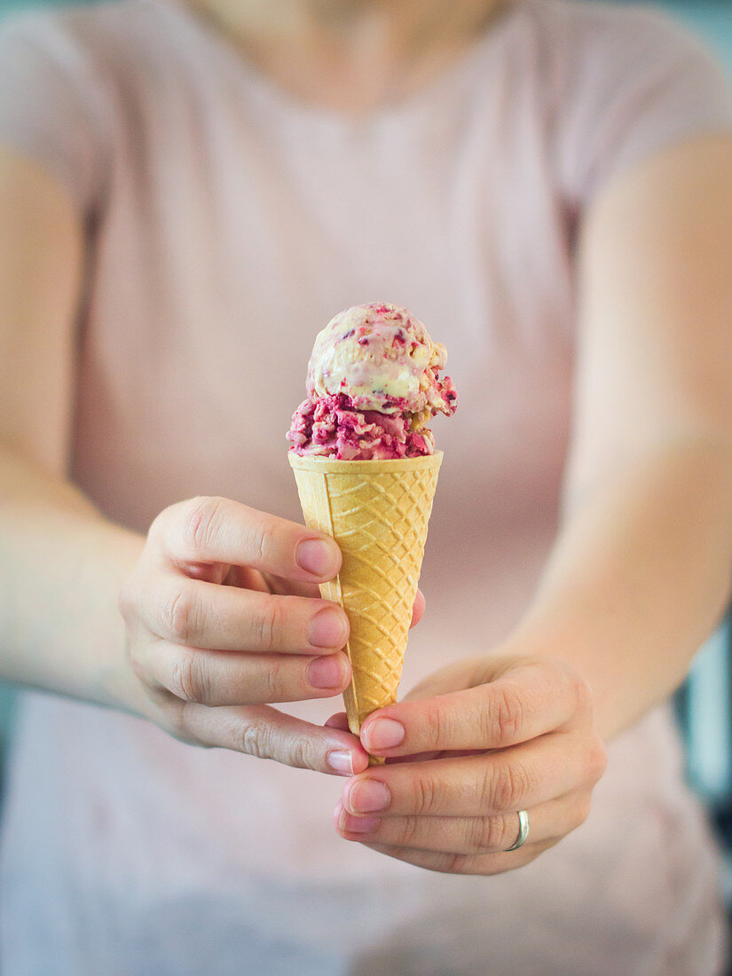 Vanilla and fruits of the forest in a cone