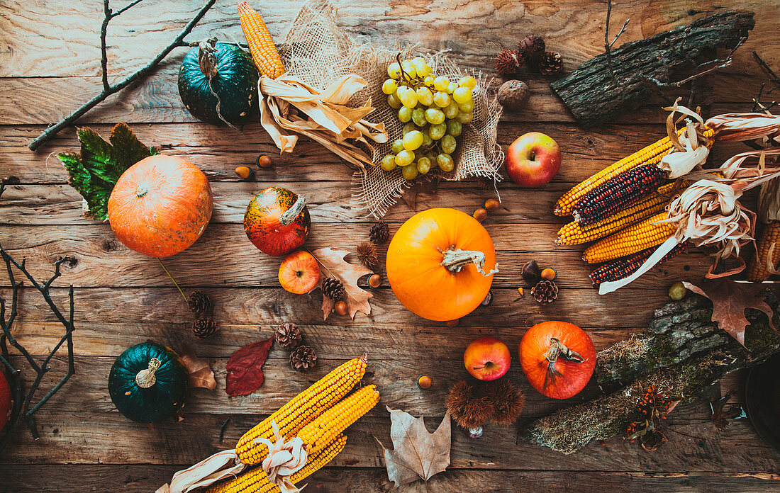 Herbstliches Stillleben mit Kürbissen, Maiskolben und Obst auf Holztisch