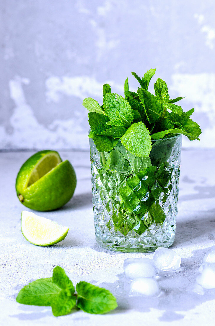 Mint in a crystal glass and lime for cocktails on a gray background