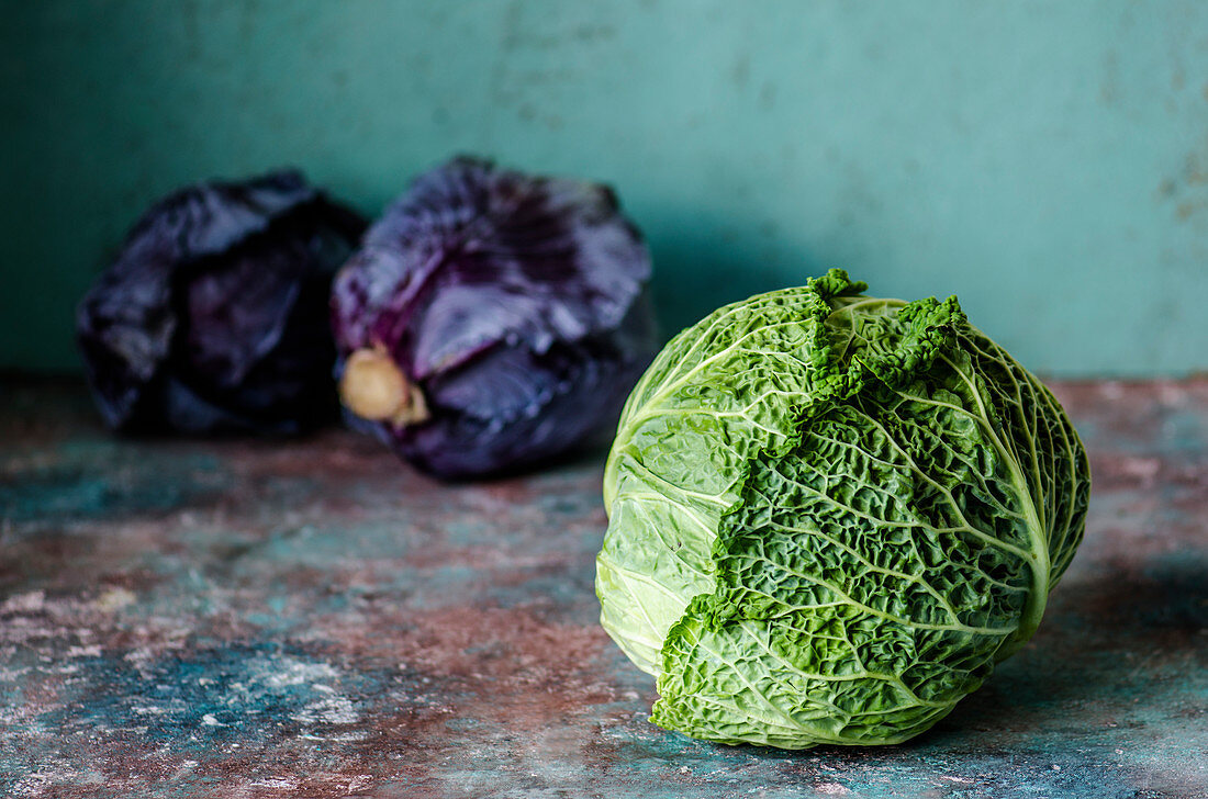 Savoy and purple cabbage