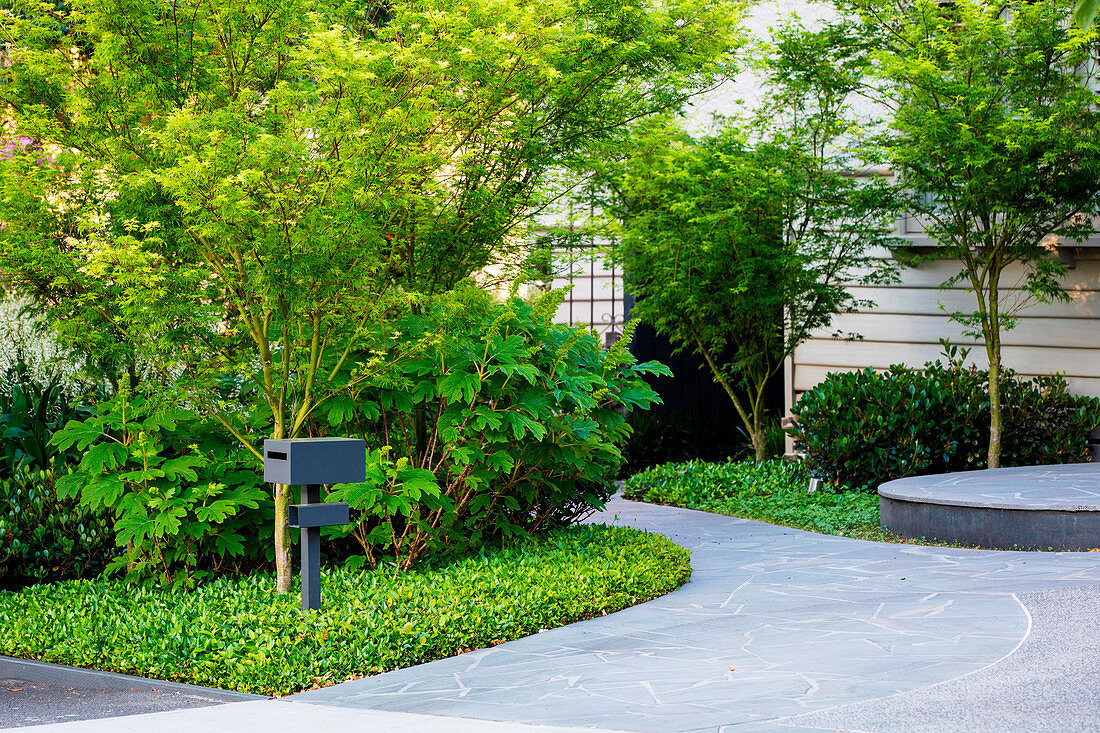 Modern front garden with dark slabs in the driveway