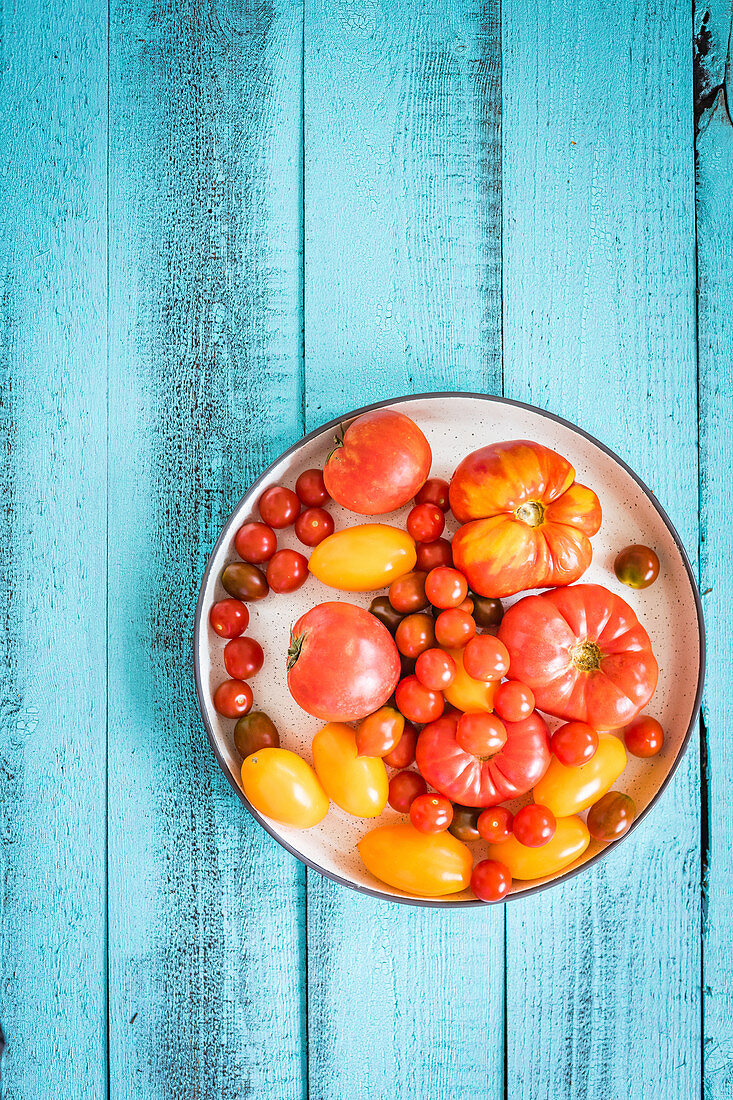 Bunter Tomatenteller auf blauem Holzuntergrund