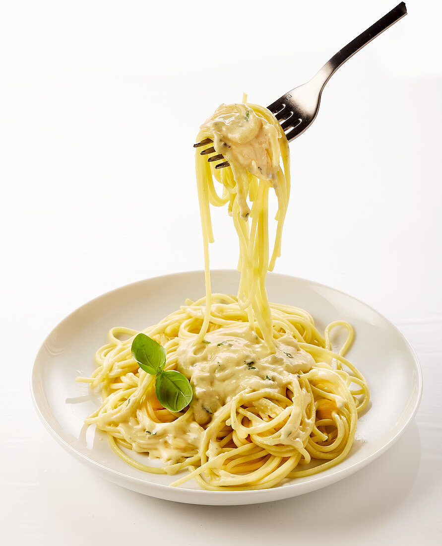 Spaghetti with cheese sauce