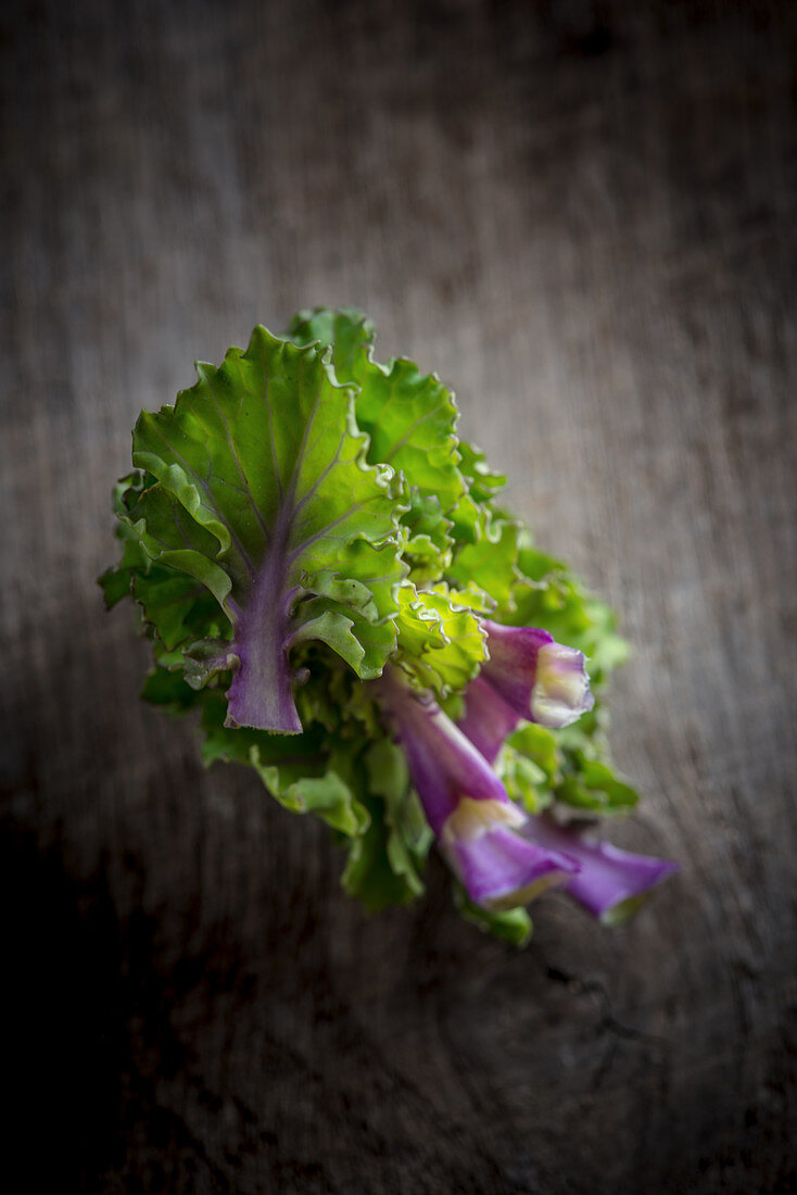 A Pile of Kalette Leaves