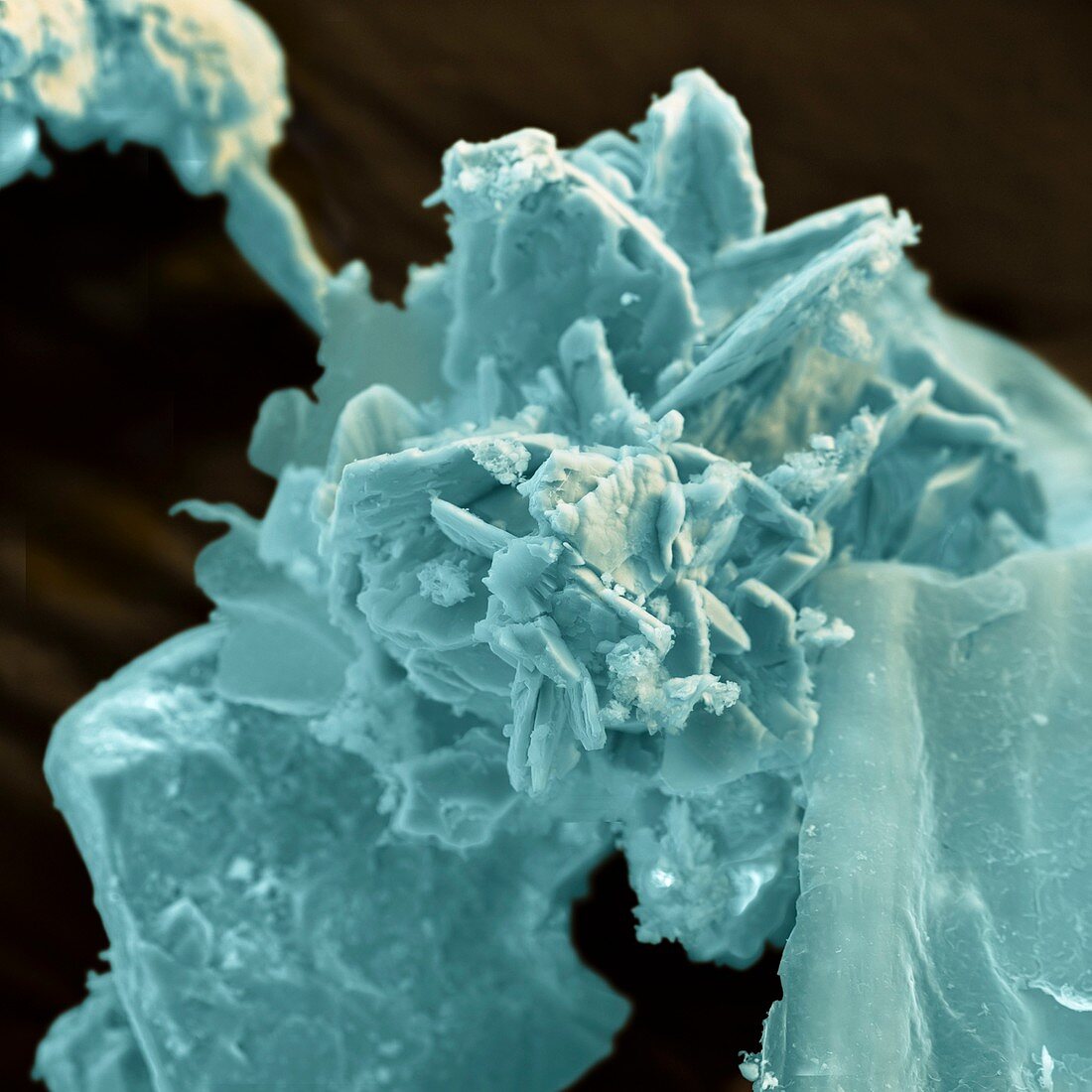 Mineralkristalle aus einem Salzsee