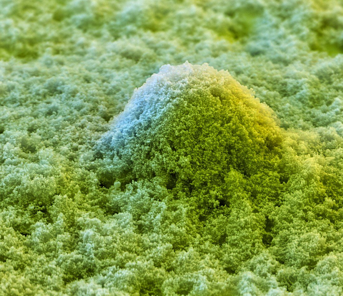Self-cleaning paint, SEM