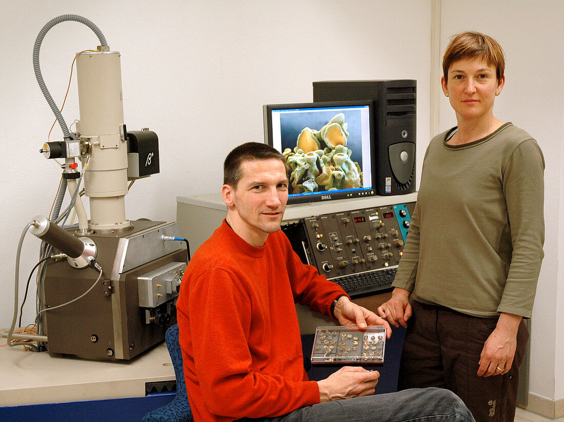 Meckes and Ottawa, microscopists