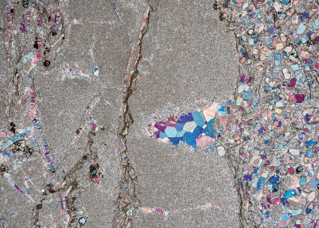 Triassic limestone rock crystals, polarised light micrograph