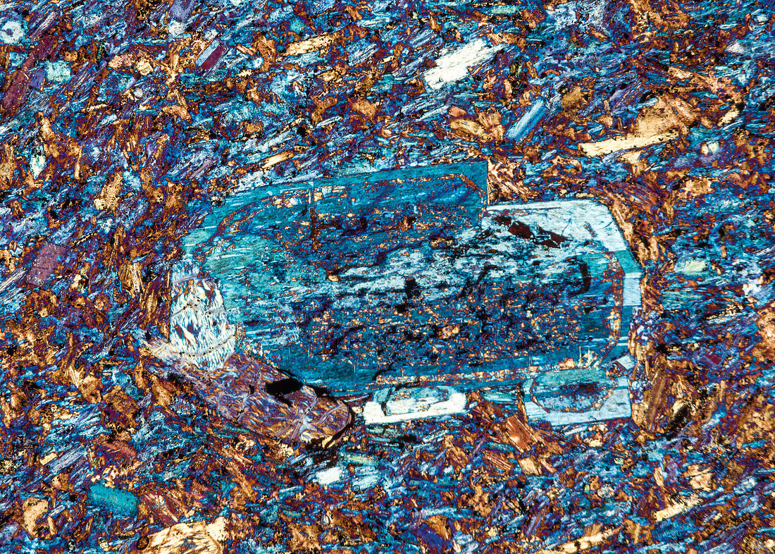 Latit-Andesit MartaWBH 122-5 PPol 60x - Latit-Andesit, Dünnschliff, 60-1