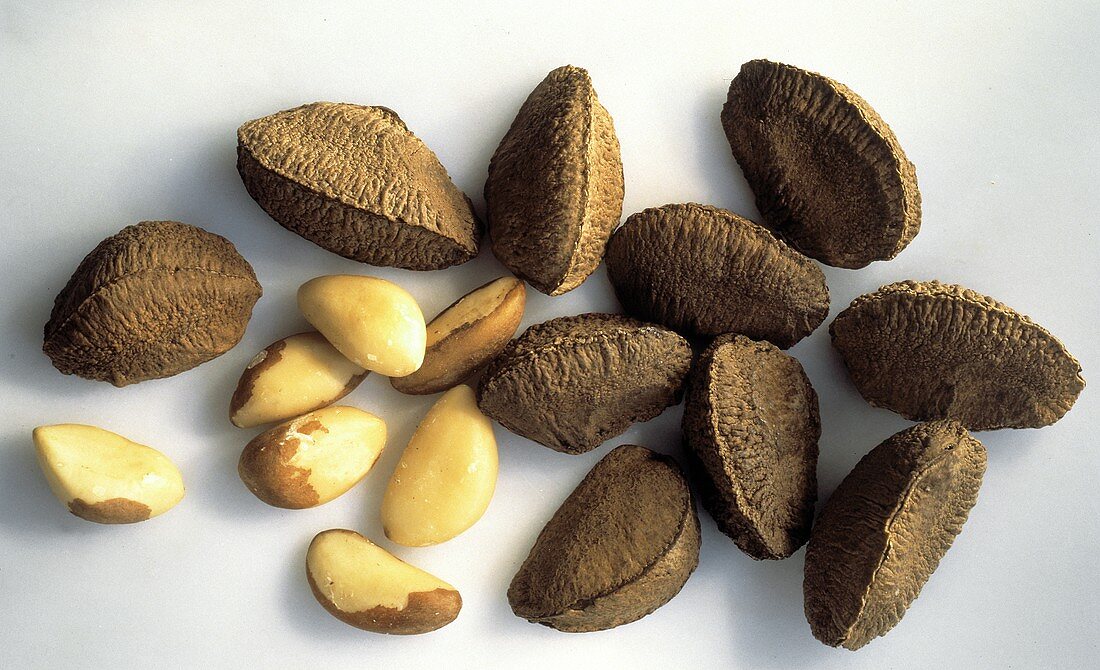 Whole and Shelled Brazil Nuts