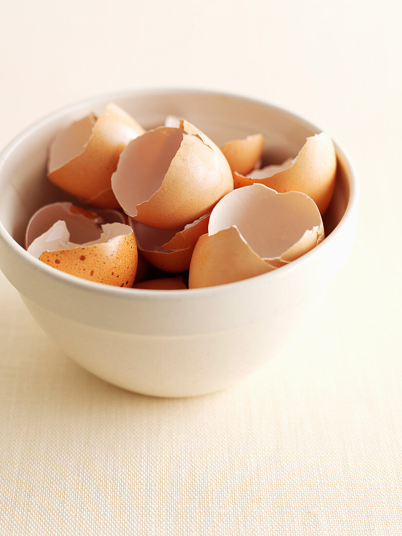 Eierschalen in Keramikschale