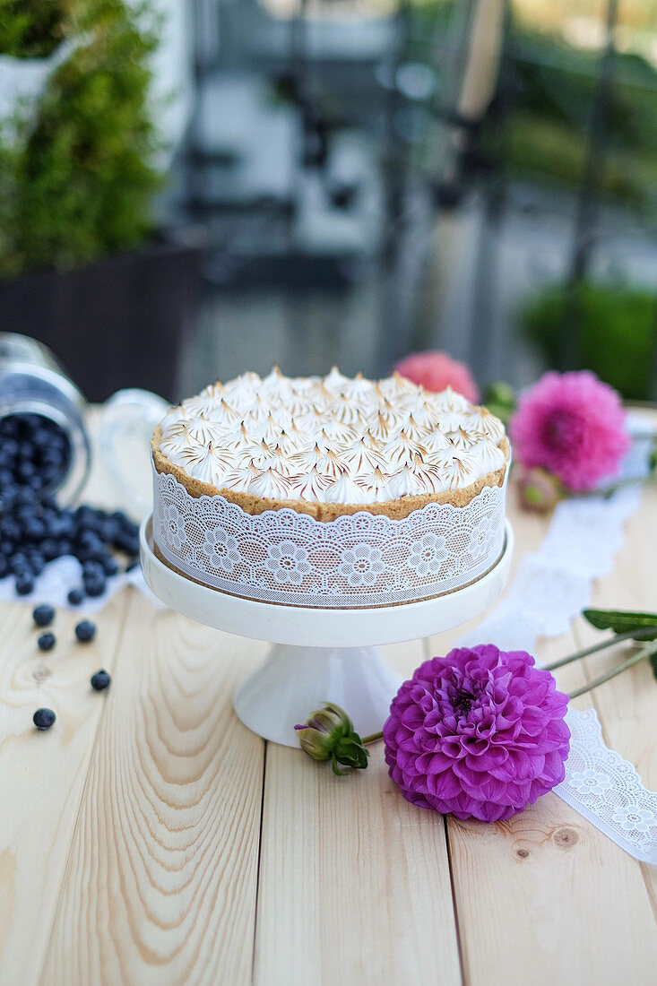 Blueberry meringue cake