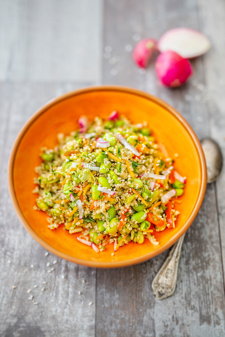 A salad with edamame, quinoa, radishes and amaranth pops