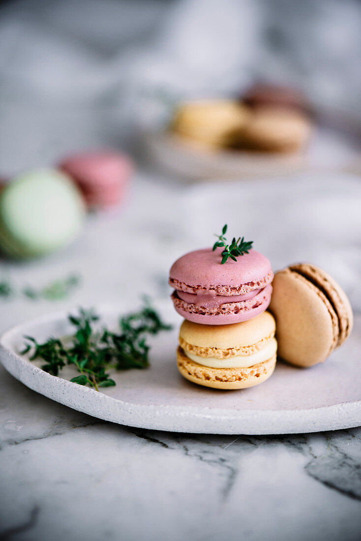 Colorful Macarons on a marble background