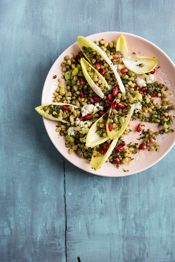 Chicory Grain Salad