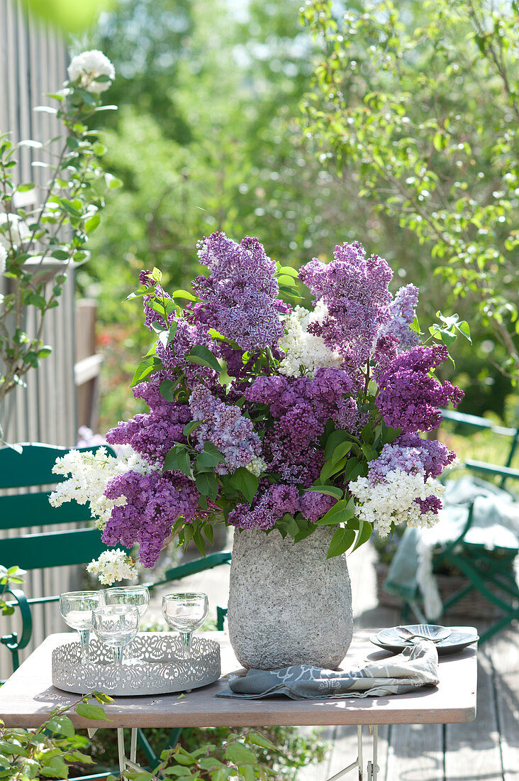 Lilac - White Lilac Bouquet On The Patio Table