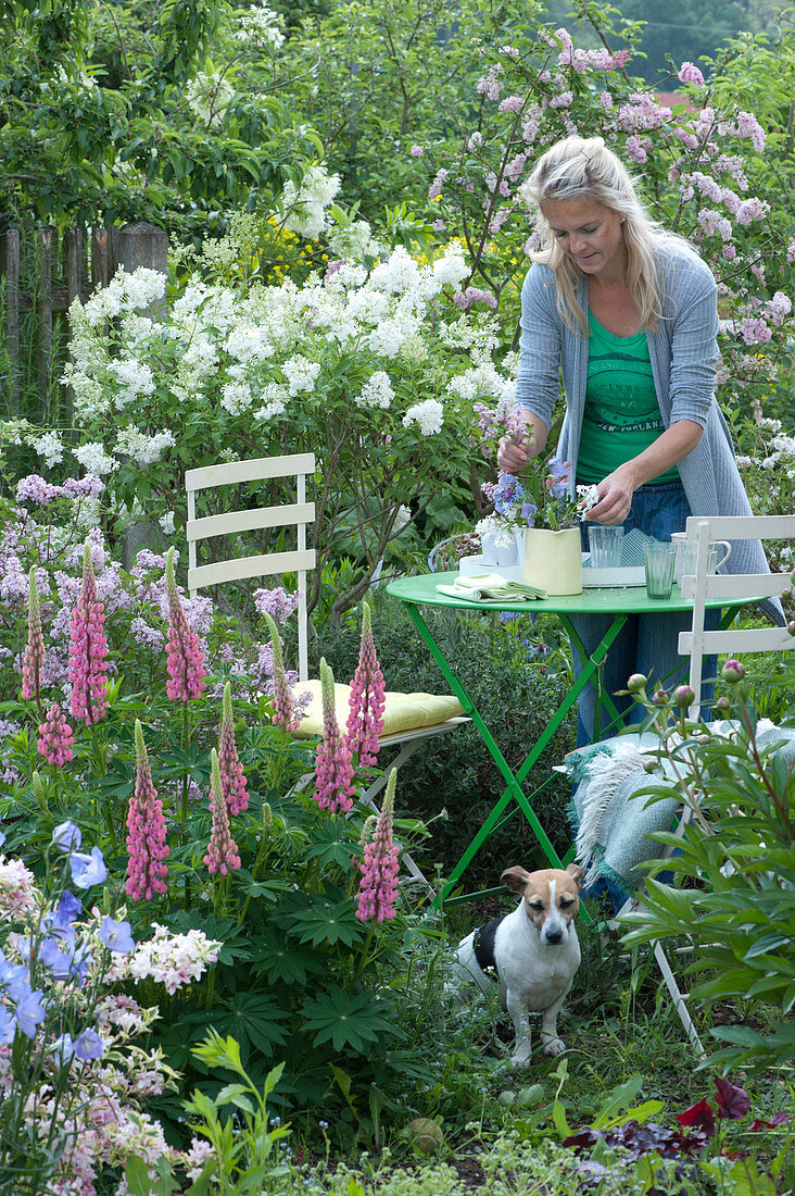 Seating In The Garden Between Lilac And Perennials