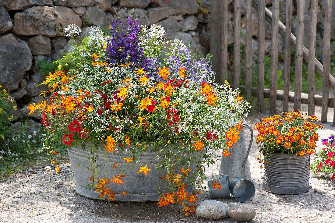 Old zinc tub colourfully planted with balcony flowers