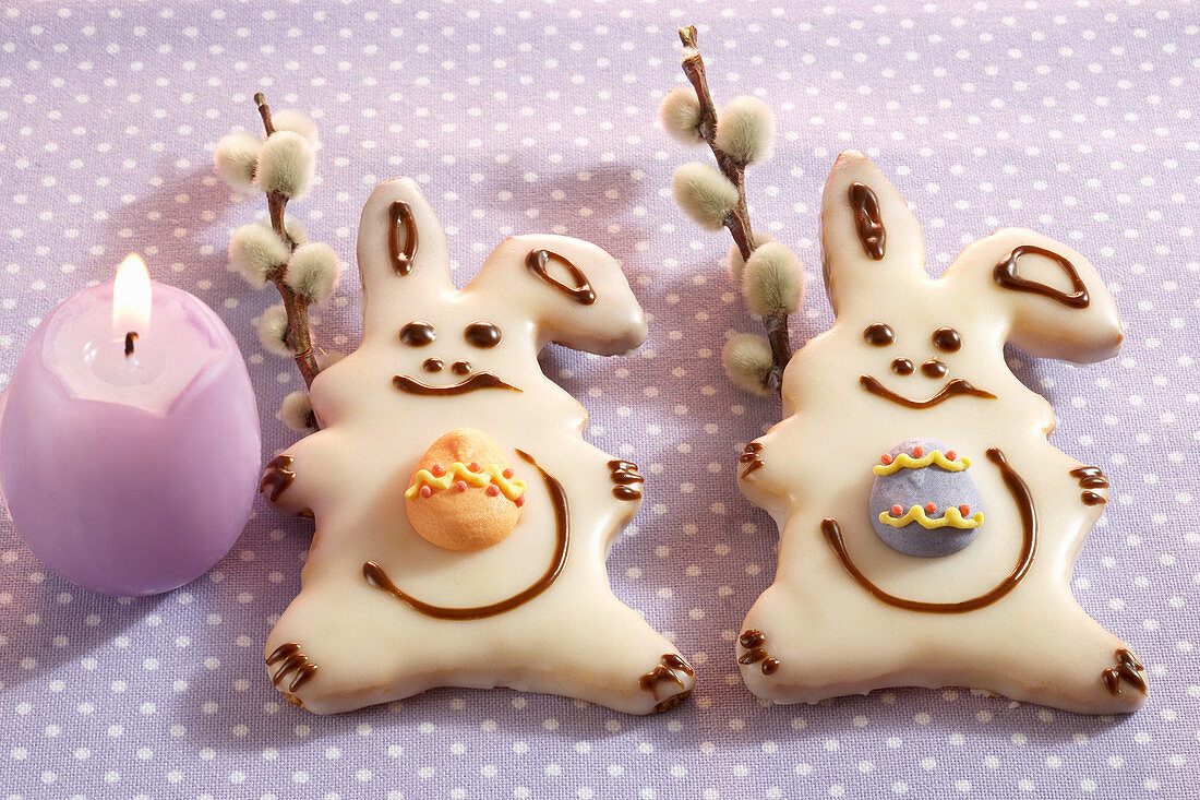 Small iced Easter bunny cookies with catkins