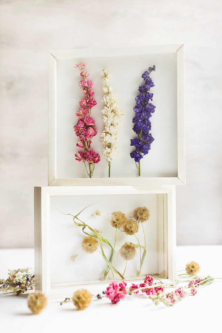 Dried flowers in white 3D frame
