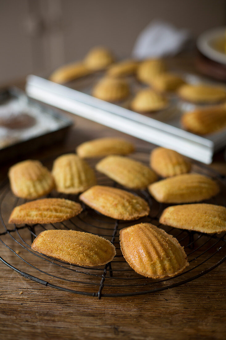 Madeleines auf Abkühlgitter