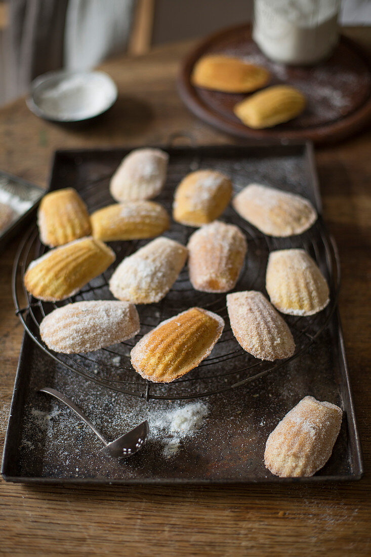 Madeleines mit Puderzucker