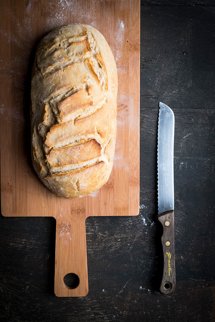 Selfmade bread on a wooden planl with a bread knife and a dark backdrop