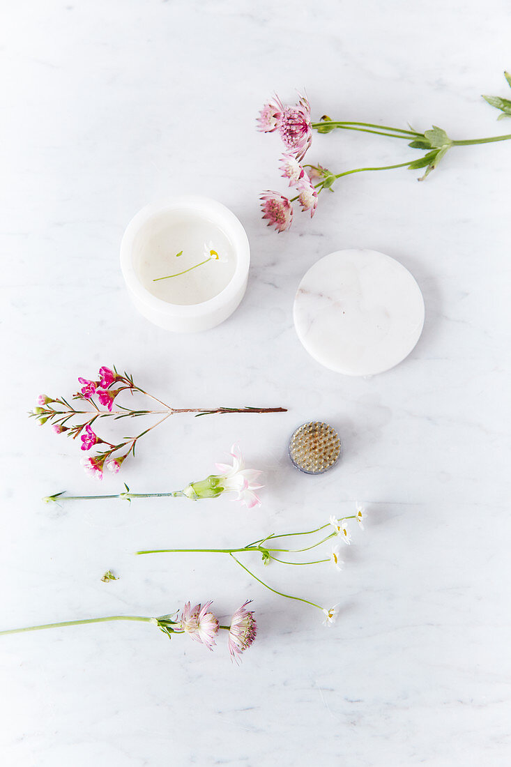 Astrantia, waxflowers, pinks and chamomile on marble surface