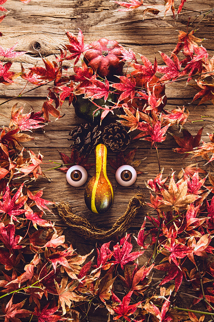 Funny face on wood - Fall red leaves