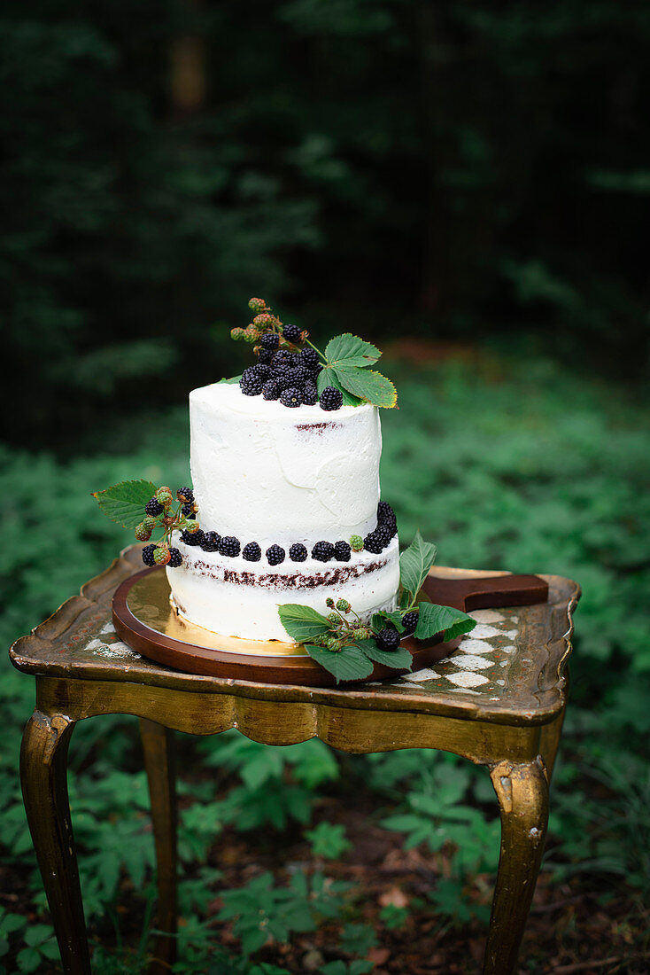 A two tier blackberry cake on an outdoor table