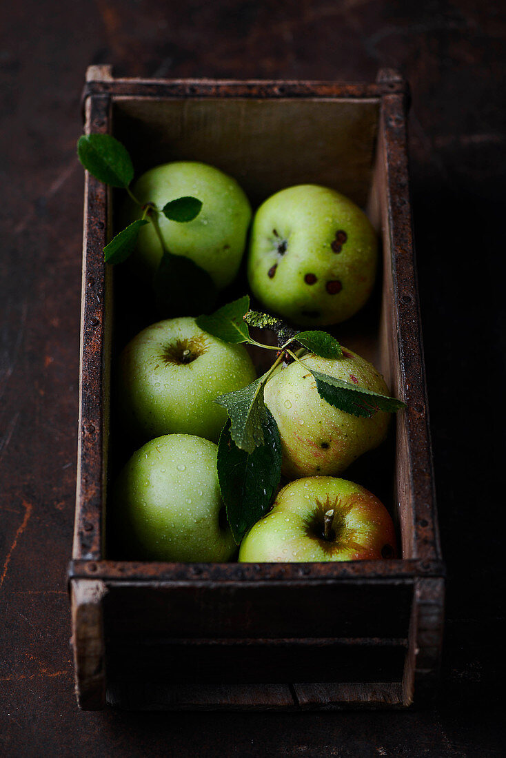 Frische grüne Äpfel in Holzkiste