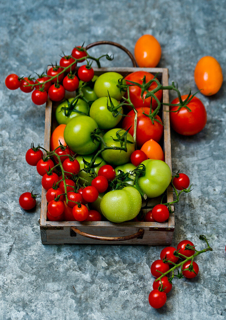 Fresh colorful tomatoes