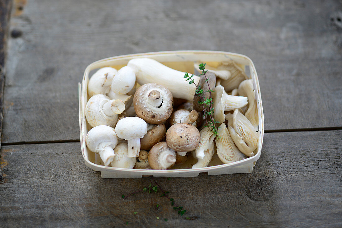 Fresh white and brown mushrooms, and oyster mushrooms