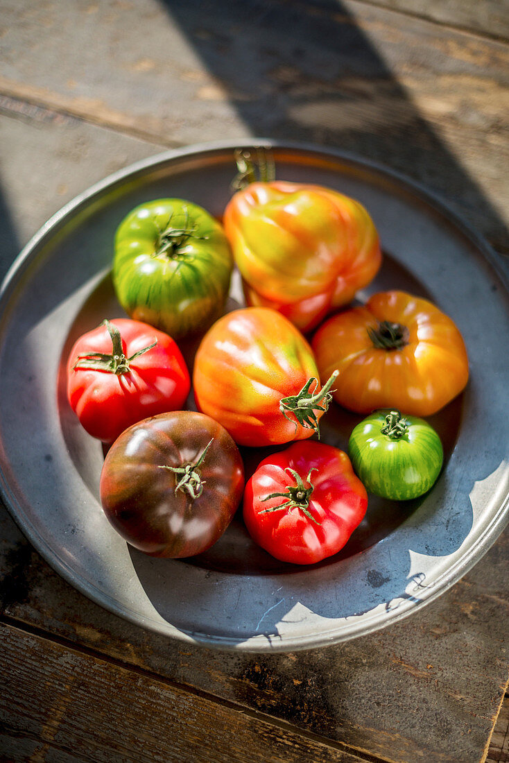 Verschiedenfarbige Tomaten auf Zinnteller