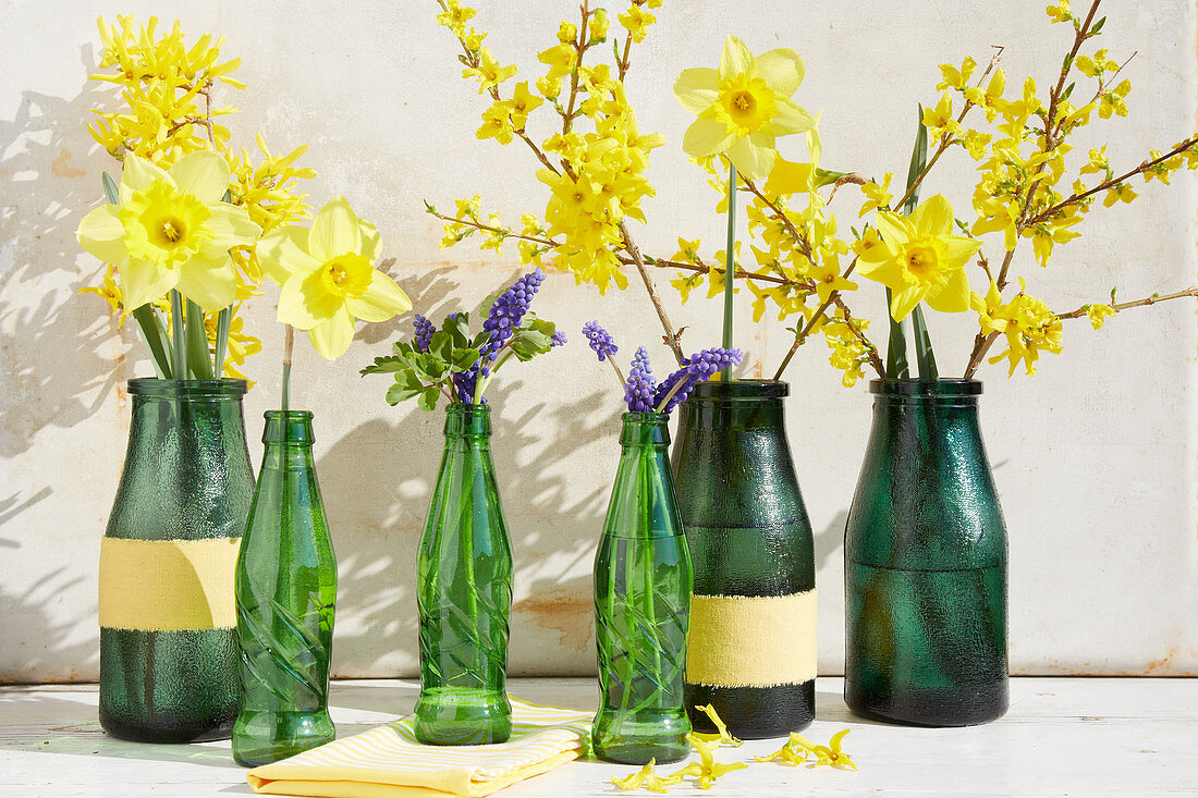 Spring arrangement of forsythia, narcissus and hyacinths in green bottles
