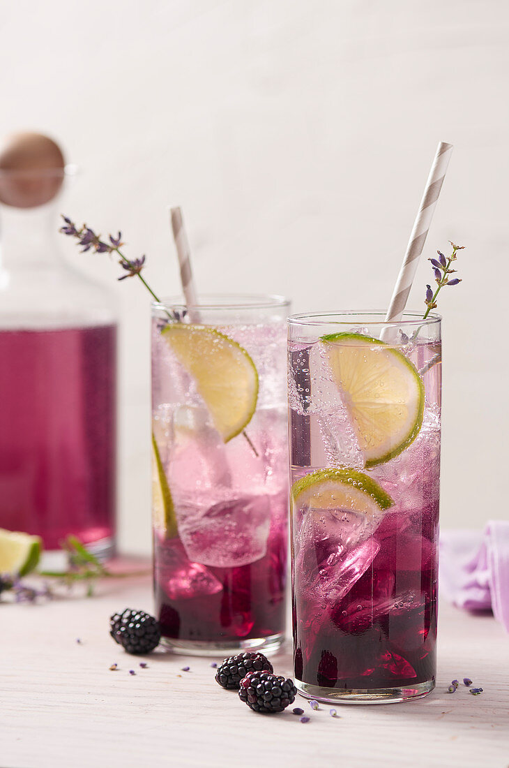 Violetter Brombeer-Cocktail mit Eis, Limettenscheiben und Lavendel