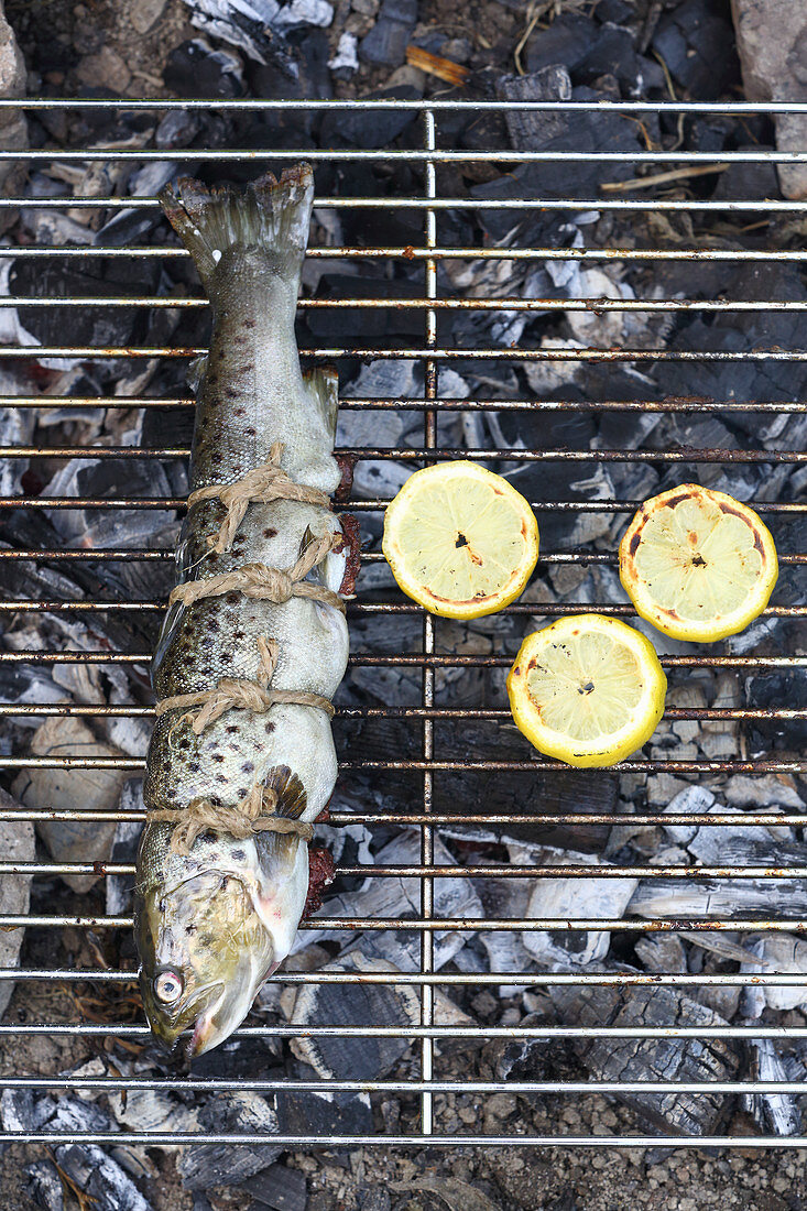 Ganze Forelle mit Blutwurstfüllung auf dem Grill