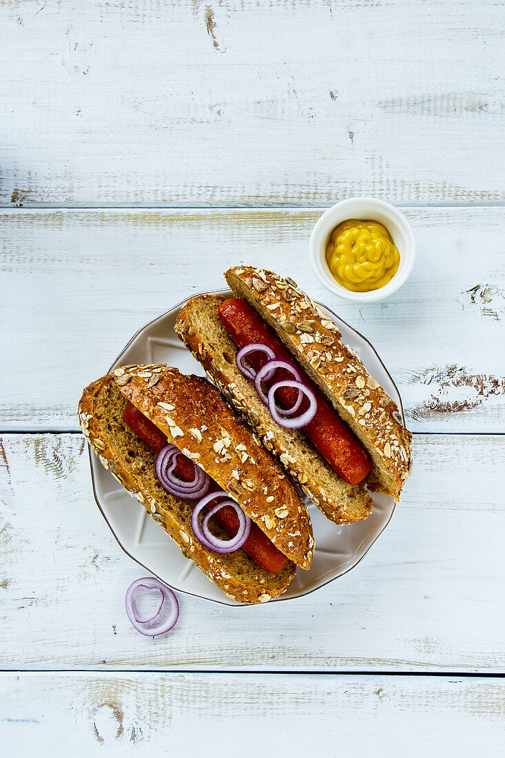 Delicious homemade hot-dogs with onion, spices and mustard