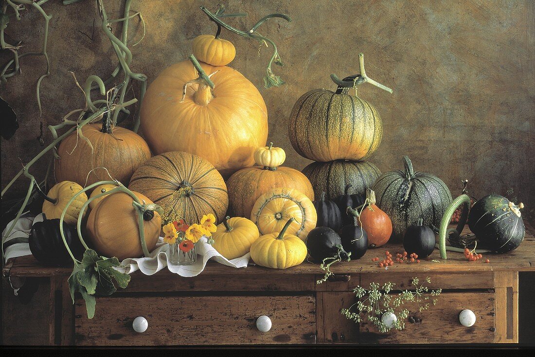 Squash and Pumpkins; Gourds Still Life